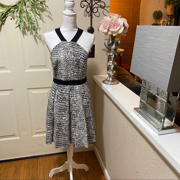 Zola' Print Cotton Fit & Flare Dress By TRINA TURK - Picture 6 of 16